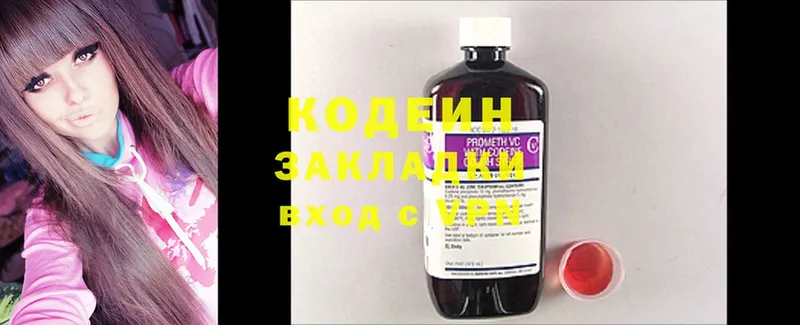 hydra ССЫЛКА  Слюдянка  Codein Purple Drank  где найти  